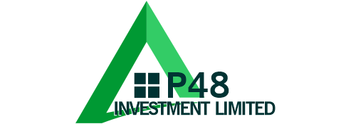 P48 Investment Ltd-P48 Investment Ltd